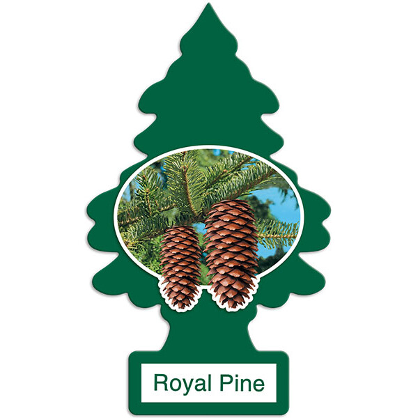 ΑΡΩΜΑΤΙΚΟ ΔΕΝΔΡΑΚΙ MAGIC TREE